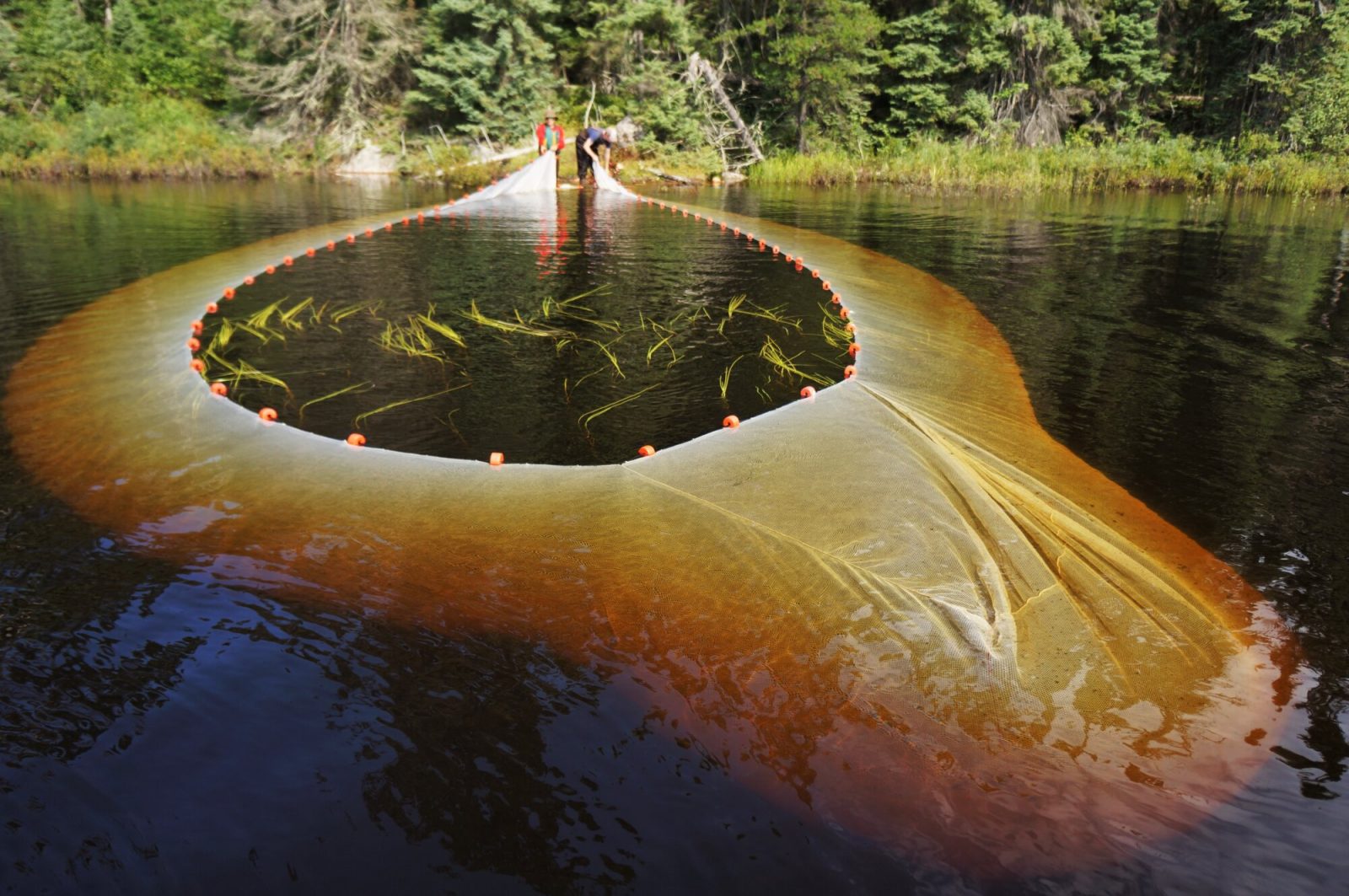 The International Institute for Sustainable Development’s Experimental Lakes Area is a natural laboratory consisting of 58 small lakes where researchers can study the environmental impacts on our freshwater.