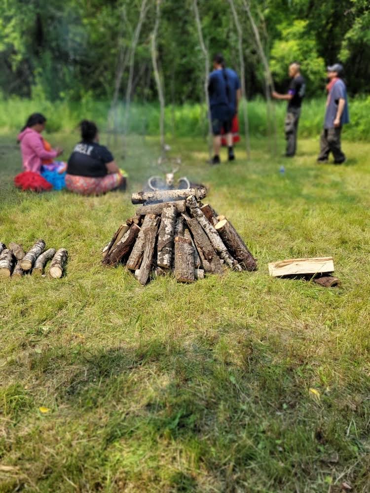 A small stack of firewood sits in a grassy clearing while people gather outdoors in the background.