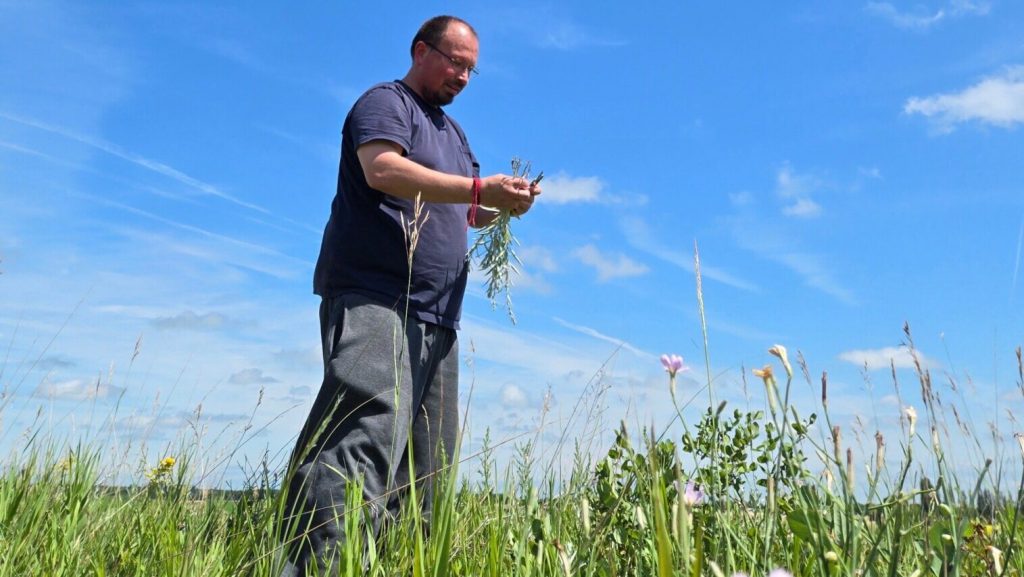 A person stands in a grassy field holding plants under a bright blue sky.