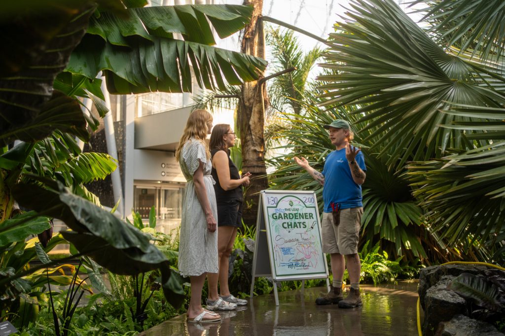 Interior view of The Leaf at Assiniboine Park